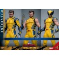 Movie Masterpiece Series MMS754 - Wolverine (Deluxe Version) | MARVEL [Hot Toys]