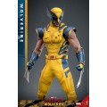 Movie Masterpiece Series MMS754 - Wolverine (Deluxe Version) | MARVEL [Hot Toys]