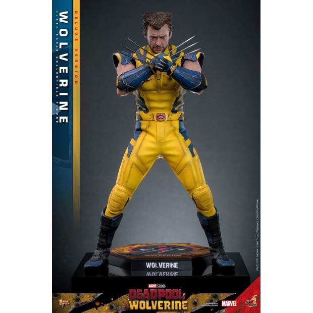 Movie Masterpiece Series MMS754 - Wolverine (Deluxe Version) | MARVEL [Hot Toys]