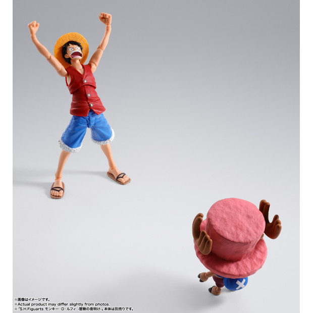 SH Figuarts - Tony Tony Chopper -Drum Island- | One Piece [Bandai]