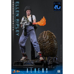 Movie Masterpiece Series MMS895 - Ellen Ripley (Deluxe Version) | Aliens Series [Hot Toys]