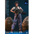 Movie Masterpiece Series MMS895 - Ellen Ripley (Deluxe Version) | Aliens Series [Hot Toys]