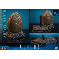 Movie Masterpiece Series MMS895 - Ellen Ripley (Deluxe Version) | Aliens Series [Hot Toys]