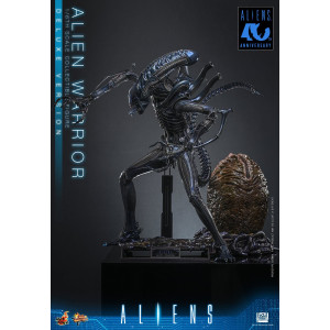 Movie Masterpiece Series MMS899 - Alien Warrior (Deluxe Version) | Aliens Series [Hot Toys]