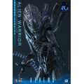 Movie Masterpiece Series MMS899 - Alien Warrior (Deluxe Version) | Aliens Series [Hot Toys]