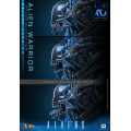 Movie Masterpiece Series MMS899 - Alien Warrior (Deluxe Version) | Aliens Series [Hot Toys]