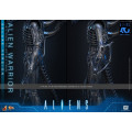 Movie Masterpiece Series MMS899 - Alien Warrior (Deluxe Version) | Aliens Series [Hot Toys]
