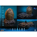 Movie Masterpiece Series MMS899 - Alien Warrior (Deluxe Version) | Aliens Series [Hot Toys]
