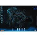 Movie Masterpiece Series MMS903 - Alien Queen | Aliens Series [Hot Toys]