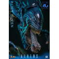 Movie Masterpiece Series MMS903 - Alien Queen | Aliens Series [Hot Toys]