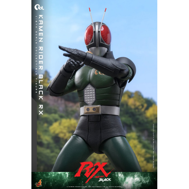 Television Masterpiece Series TMS179 - Kamen Rider Black RX | Kamen Rider Series [Hot Toys]