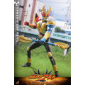 Television Masterpiece Series TMS192 - Kamen Rider Agito | Kamen Rider Series [Hot Toys]