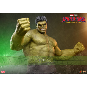 Movie Masterpiece Series MMS905 - Spider-Man: Brand New Day : Hulk | MARVEL [Hot Toys]