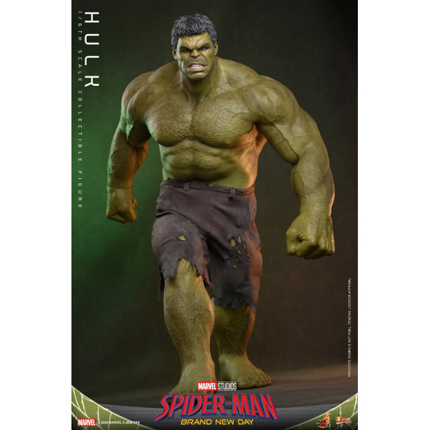 Movie Masterpiece Series MMS905 - Hulk | MARVEL [Hot Toys]