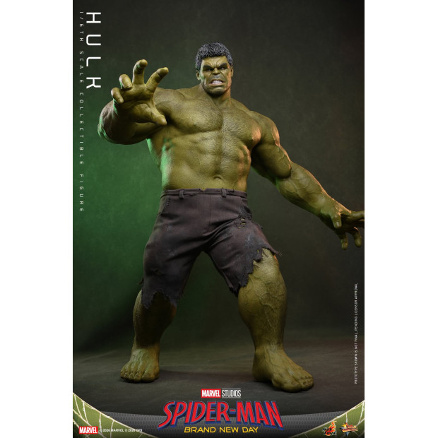 Movie Masterpiece Series MMS905 - Hulk | MARVEL [Hot Toys]