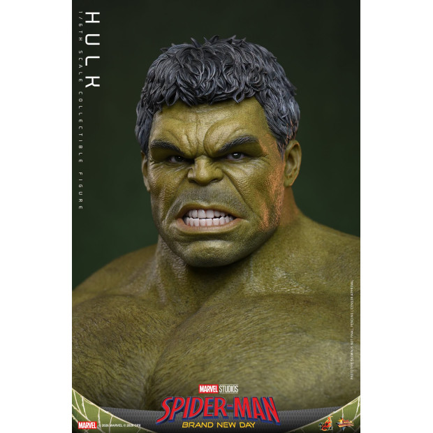 Movie Masterpiece Series MMS905 - Hulk | MARVEL [Hot Toys]