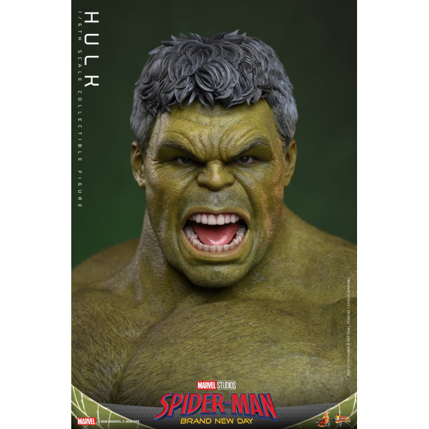 Movie Masterpiece Series MMS905 - Hulk | MARVEL [Hot Toys]