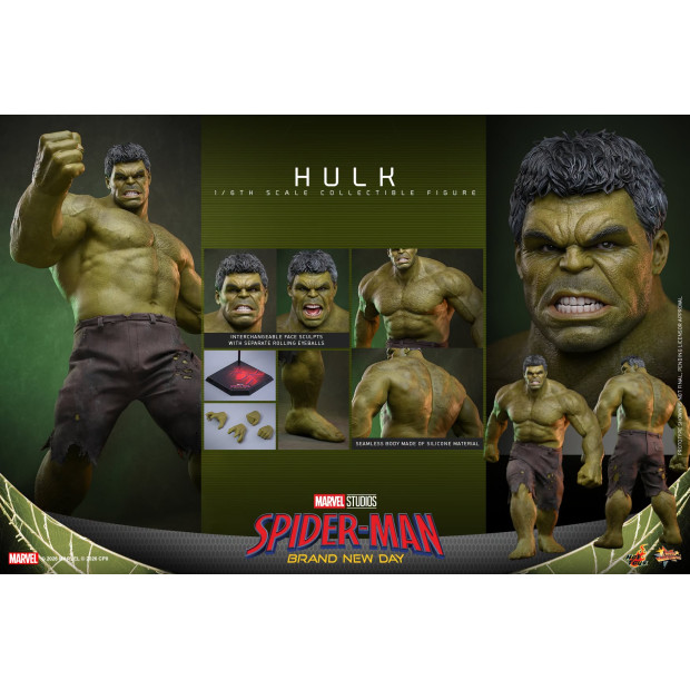 Movie Masterpiece Series MMS905 - Hulk | MARVEL [Hot Toys]