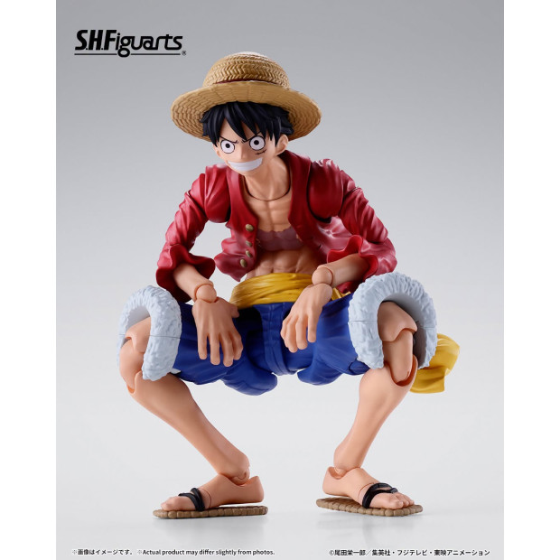 SH Figuarts - Monkey D. Luffy -2 Years Later- | One Piece [Bandai]
